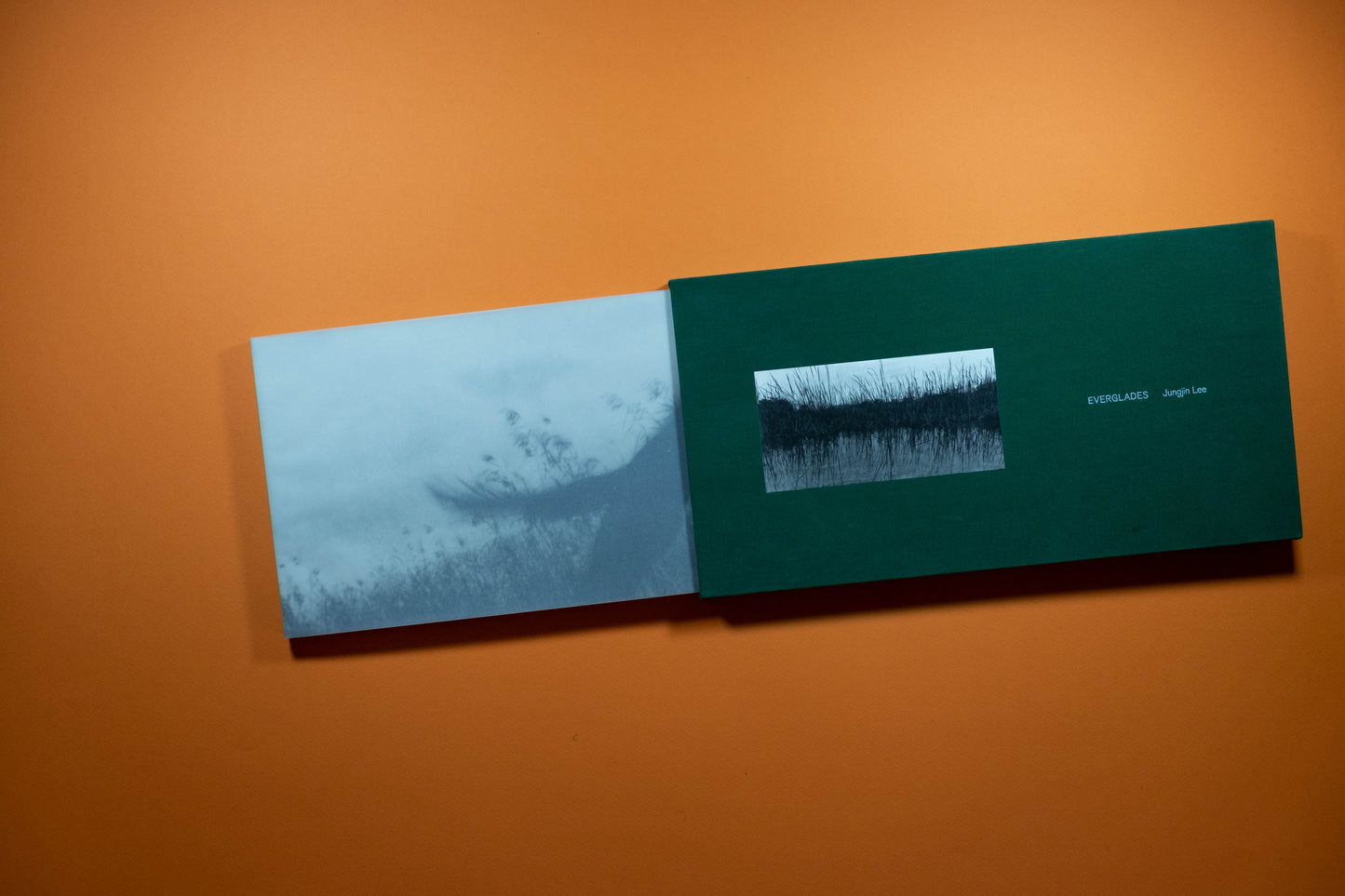 Jungjin Lee - Everglades - SIGNED