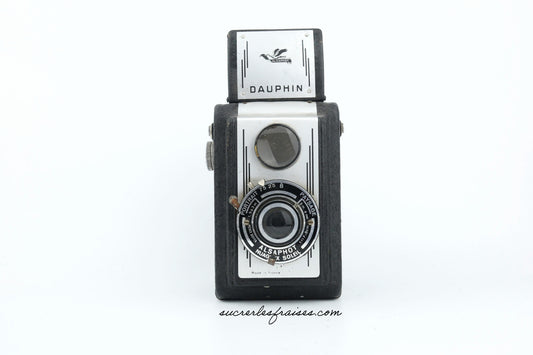 Alsaphot_Dauphin_IA