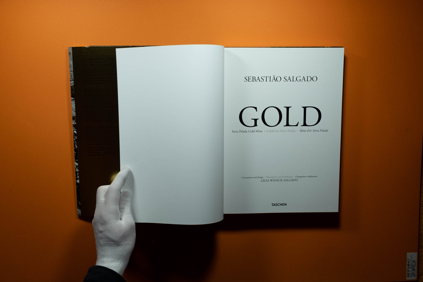 Sebastião Salgado - Gold - Edition SIGNE