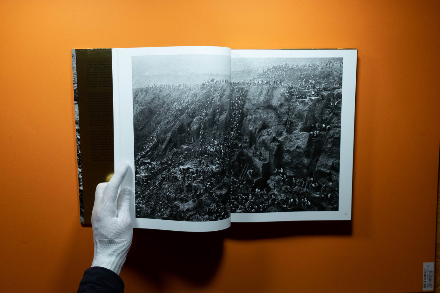 Sebastião Salgado - Gold - Edition SIGNE