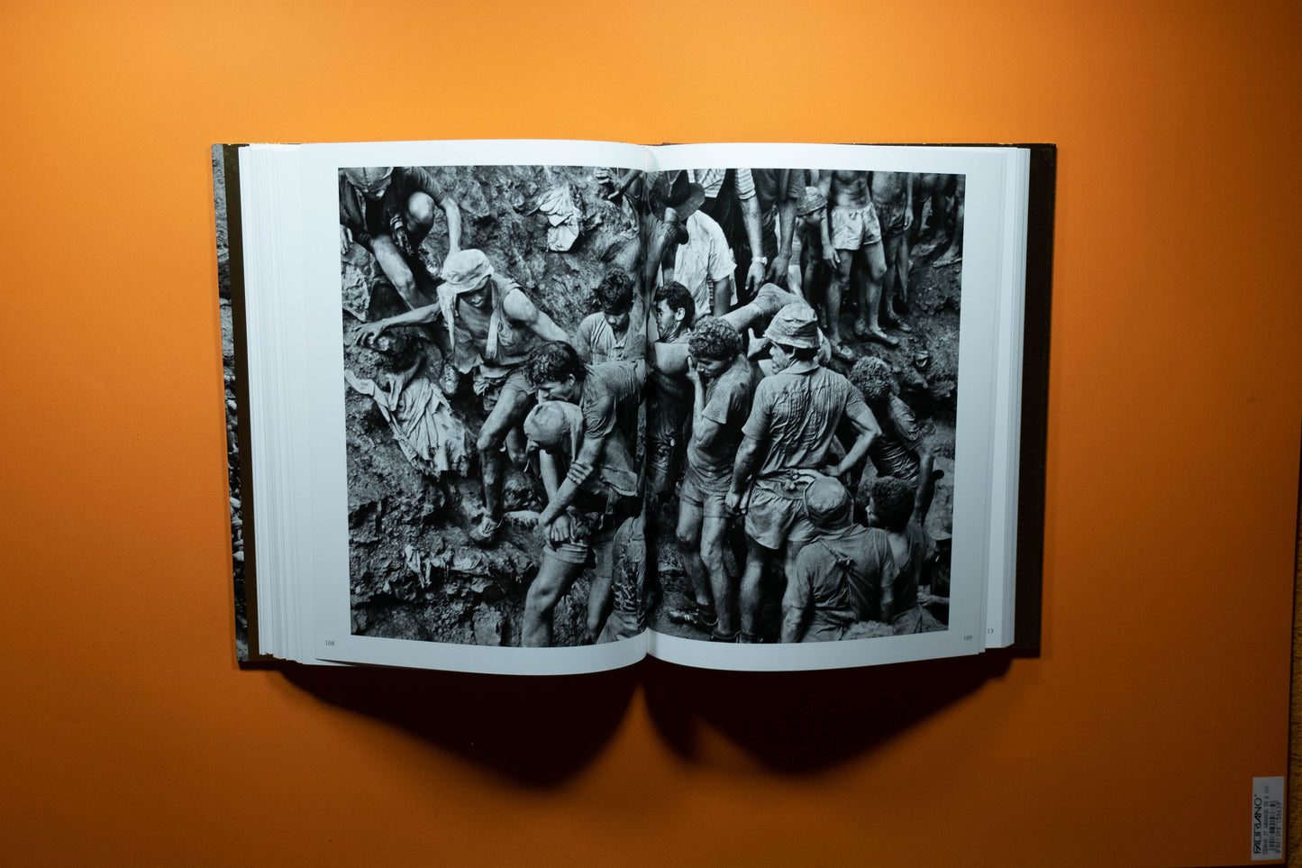 Sebastião Salgado - Gold - Edition SIGNE