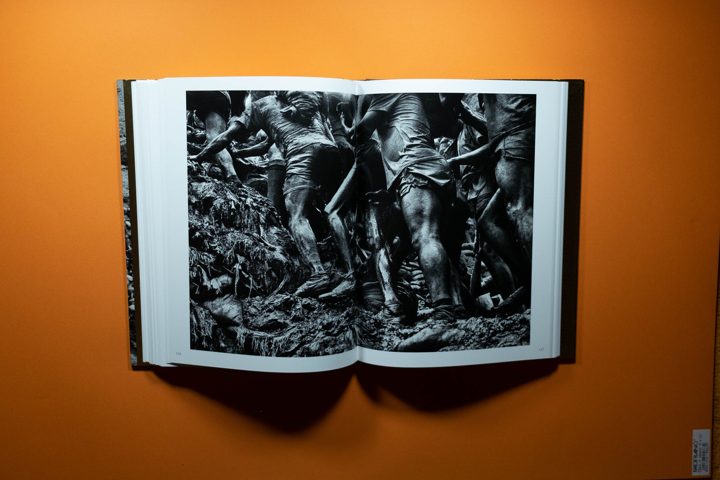 Sebastião Salgado - Gold - Edition SIGNE