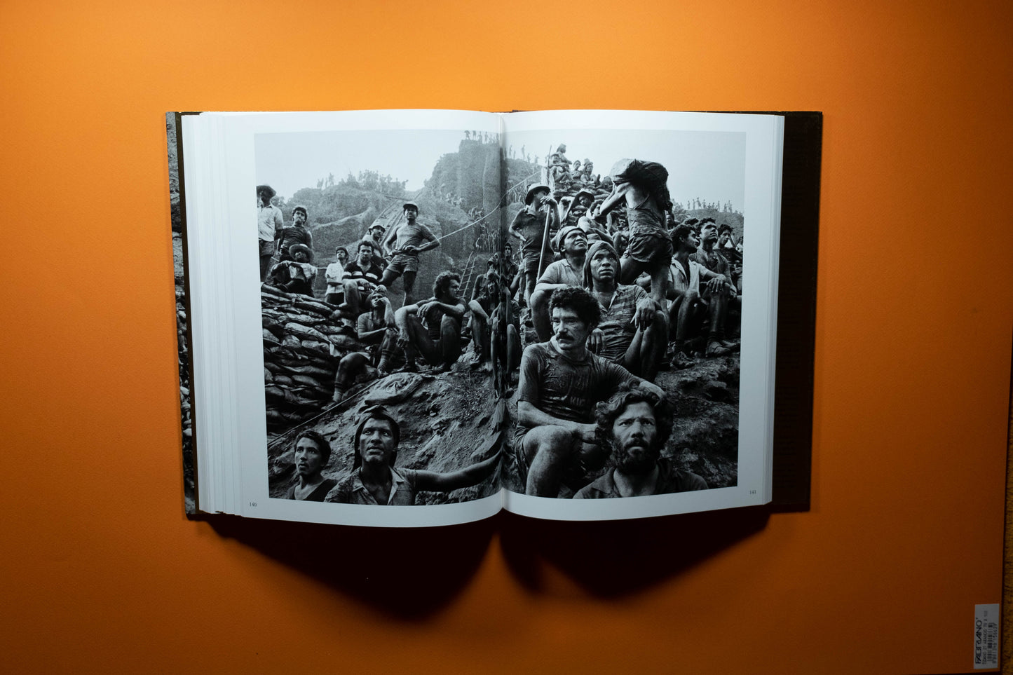 Sebastião Salgado - Gold - Edition SIGNE