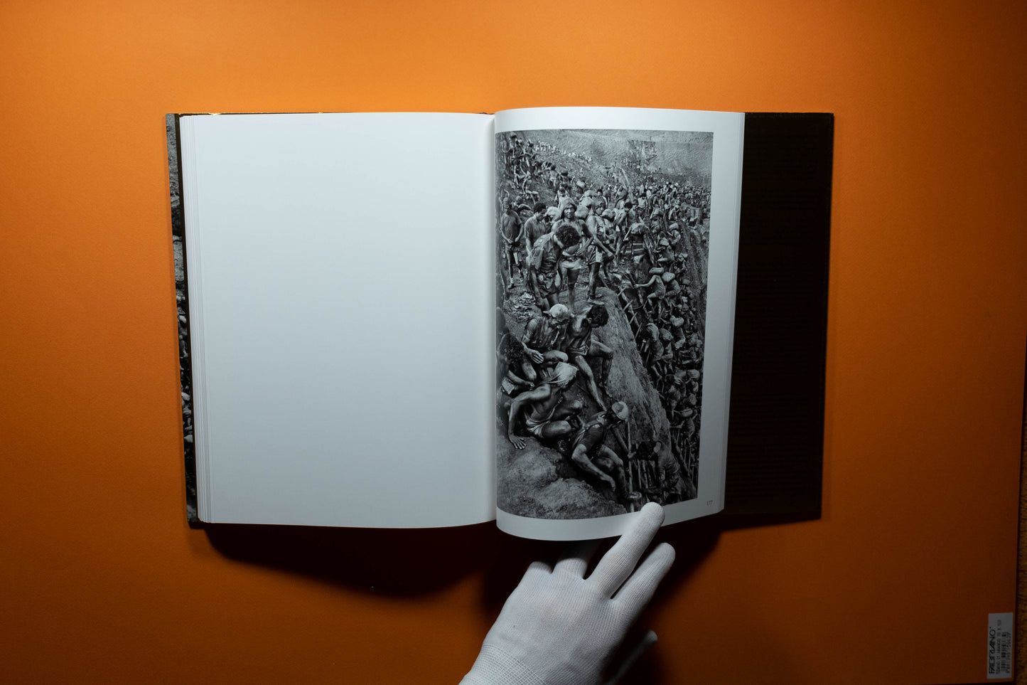 Sebastião Salgado - Gold - Edition SIGNE